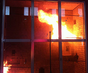 Противопожарные окна Рошаль